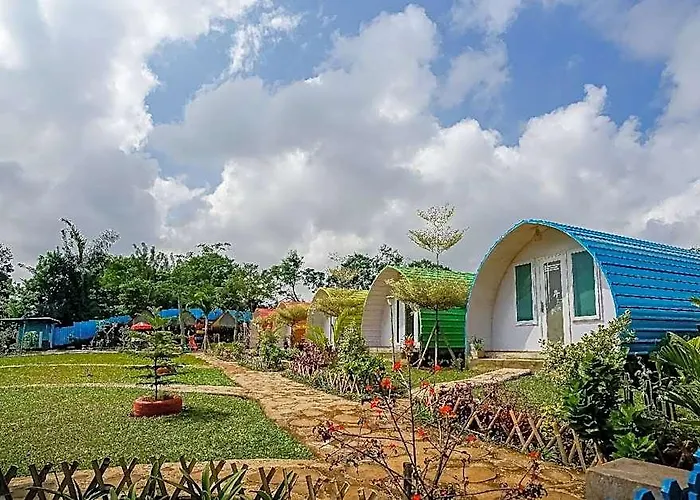 Hotel Rainbow Glamping 4*
